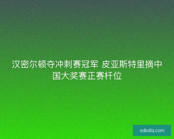 汉密尔顿夺冲刺赛冠军 皮亚斯特里摘中国大奖赛正赛杆位
